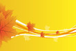 Herbstblätter