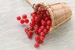 antiossidante,vitamina,ribes,rosso