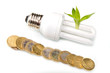 lampadina a risparmio energetico