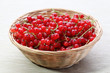 fresco raccolto di ribes rosso