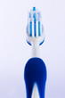����: Toothbrush � deannikolic #33422528
