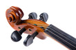 Violin close up