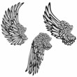 Set of wings Set of wings