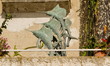 Pesce spada, scultura