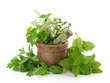 Mortar with herbs isolated on white background Mortar with herbs isolated on white background