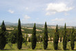 toscana