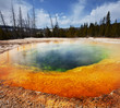 Morning glory pool