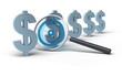 magifying glass and focus inside, Dollar symbol 3D image