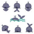 Cute Whale Set
