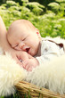 Close-up of cute small boy with mother hand