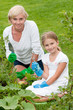 Gardening with mother Gardening with mother