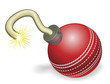 Cricket ball bomb concept