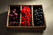 frutta di bosco tris