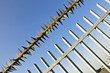 Barbed wire fence at the blue sky. metaphor of freedom