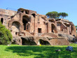 Ancient ruins of emperors' palaces on Palatine Hill, Rome