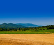 paysage campagne