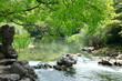 Green Scenery