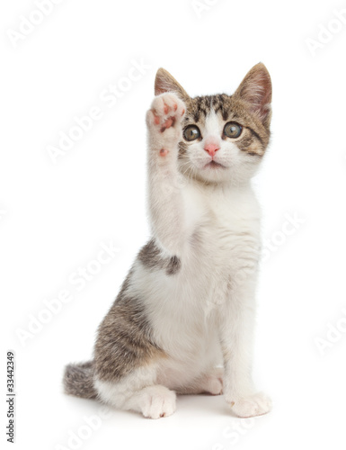 Photo: Ciao Ciao