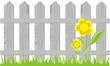 Fence