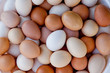 Many multicoloured eggs in a speck