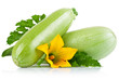 fresh zucchini fruits with