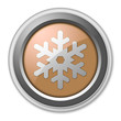 Bronze 3D Style Button "Winter Recreation"