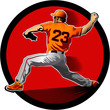 baseball pitcher