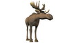 Bull Moose in Love Bull Moose in Love