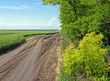 dirt road between the field and forest