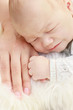 Close-up of cute small boy with mother hand
