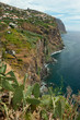 Foto: Madeira, near Ribeira Brava Madeira, near Ribeira Brava