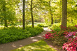 Keukenhof park