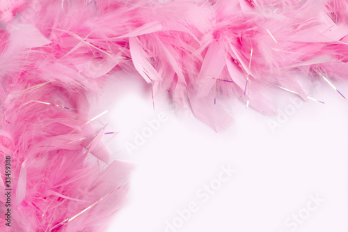 Foto: Federn_Boa_Rosa_Liebe_Zaertlichkeit Federn_Boa_Rosa_Liebe_Zaertlichkeit