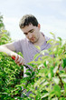 Gardener