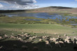 Chullpas inkas de sillustani,Peru
