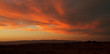 Gobi