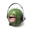Foto: Watermelon Deejay 2 Watermelon Deejay 2