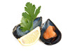 cozza con prezzemolo e limone - mussel lemon and parsley cozza con prezzemolo e limone - mussel lemon and parsley