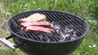 Grillfleisch