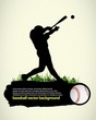 baseball star player baseball star player