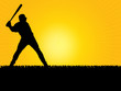 Baseball Batter silhouette