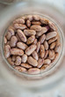 fagioli