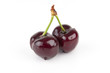 Isolated Red Cherries Isolated Red Cherries