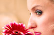 Beauty flower