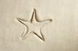 beach starfish print white caribbean sand summer beach starfish print white caribbean sand summer