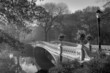 Early morning in the fog ,bow bridge Early morning in the fog ,bow bridge