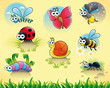 Bugs + 1 snail. Funny cartoon and vector isolated characters.
