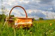 Picnic basket on a meadow