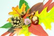 Herbst im Wald