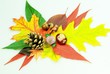 Farben des Waldes im Herbst